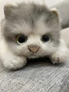 【超希少・特大】四季オリジナル リアル 猫 ぬいぐるみ サバトラ 白 超希少・特大】四季オリジナル リアル 猫 ぬいぐるみ サバトラ 白