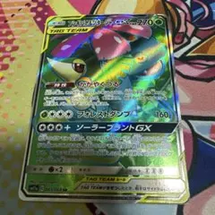 フシギバナ＆ツタージャGX SR SM11a リミックスバウト 065/064