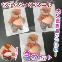 おなか ぽっこり シール 柴犬 3D 立体 ステッカー 3枚 ぷっくりお腹 いぬ