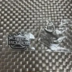 BALLISTIKBOYZ アクリルキーホルダー　ステッカー