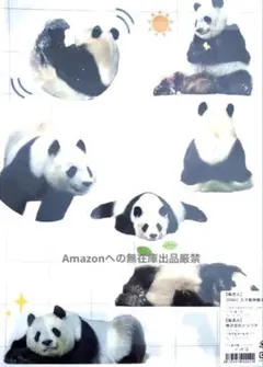 2026年最新】王子動物園 タンタンの人気アイテム - メルカリ