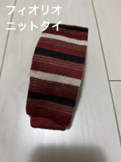 fiorioボーダーニットタイのサムネイル