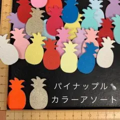 本革　パイナップル　アソート・カラーミックス　１６枚セット