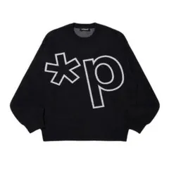 *p(R)ojectR®︎ Logo Knit Sweater RAMPAGE