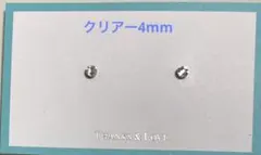 マグネットイヤリング　クリアー4mm×Sキャッチ