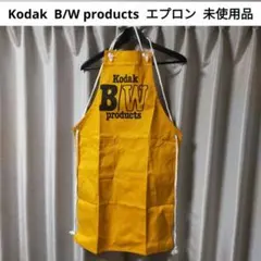 Item thumbnail for item 235428b8-4a59-4267-ae80-3f3221300a30