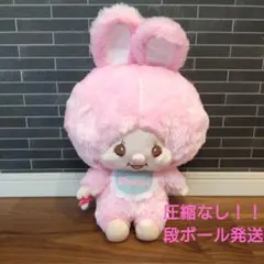 2026年最新】チムたん Mサイズ ぬいぐるみの人気アイテム - メルカリ