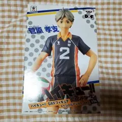 Item thumbnail for item 33f72142-2bab-478a-826f-e3bcce0d25e6