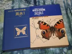 Item thumbnail for item d61d8d27-9c12-48a4-8400-b34547a48399