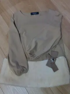 Item thumbnail for item d076bbf5-06fb-4673-985f-7ada3d440569