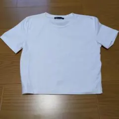 ザラのTシャツ Ｍサイズ