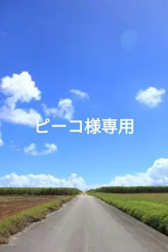 ピーコ様 リクエスト 3点 まとめ商品