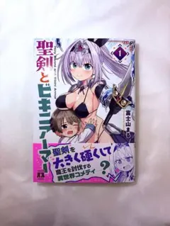 聖剣とビキニアーマー 1