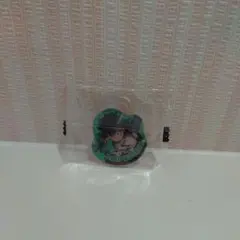 アクリル　IZUKU MIDORIYA