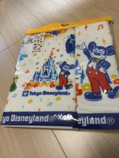 ディズニー　40周年　タオル
