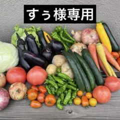 스사마 전용