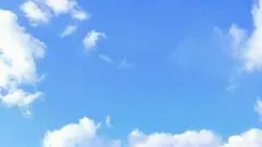 たなかさん様専用