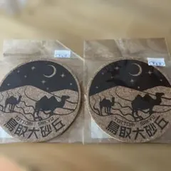 Item thumbnail for item ce499d01-6b4c-471d-b292-0f7c8d9f7a1a