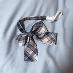 Item thumbnail for item 9aebd8be-3b6a-4331-9846-d0e51a6db521