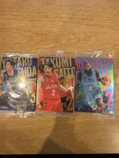 Ｂリーグウエハースカード