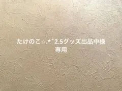 たけのこ✩.*˚2.5グッズ出品中様専用・*:.ღパラコードスマホストラップ