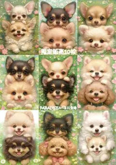 はな310様 リクエスト 2点 まとめ商品