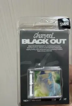 2026年最新】チャニョル black out トレカの人気アイテム - メルカリ