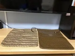 Item thumbnail for item 8427ce06-a8d8-432b-bbf7-0e9f9590e4fd