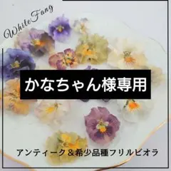 かなちゃん様 リクエスト 2点 まとめ商品