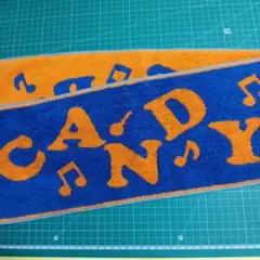 Item thumbnail for item c9a7cfd3-eeb3-41d5-a04b-c0e28e95c85d