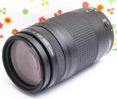 2026年最新】canon eos 5d mark ii レンズの人気アイテム - メルカリ