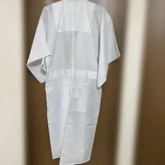 Item thumbnail for item 5da11c8d-e0c3-420c-843e-f6a776a0036e