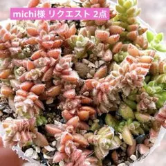 michi様 リクエスト 2点 まとめ商品