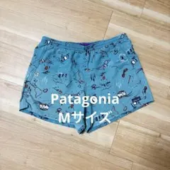 【レア】Patagonia 36周年記念モデルのサムネイル
