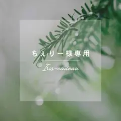 ちぇりー様専用