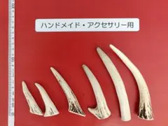 【天然北海道産　蝦夷鹿の角 】ハンドメイドパーツ