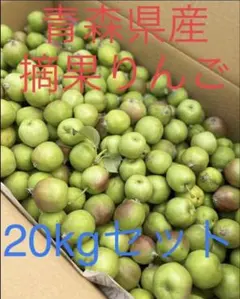 大特価限定セール　青森県産摘果りんご　ふじ.つがる、紅玉MIX　20kgのサムネイル