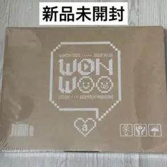 ウォヌ SEVENTEEN DICON