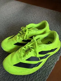 Item thumbnail for item 6b09cf17-02aa-4fb9-a93e-f2744281f189