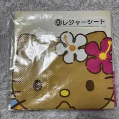 Item thumbnail for item 0d0dc4fb-e9c0-4562-850d-49a4ba1646ad