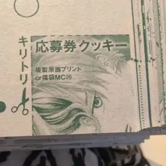 応募券 クッキー 複製原画プリント or 福袋MC20