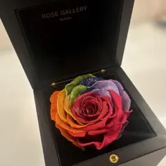 Item thumbnail for item 84536326-7021-4fb6-8f08-a3510291e984