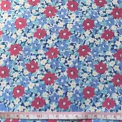 Item thumbnail for item 62122b07-9fb9-480a-93c9-3320c1375bd0