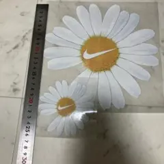 Item thumbnail for item b934aad8-c89b-4c26-92e8-8d1466766d6f