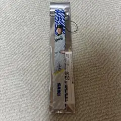 阪神タイガース シークレットボンフィン 才木