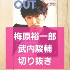 5237 内藤秀一郎 川津明日香 山口貴也 切り抜き - メルカリ