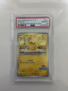PSA10 ポケカ ピカチュウ イラストレーションコンテスト 2024 プロモ