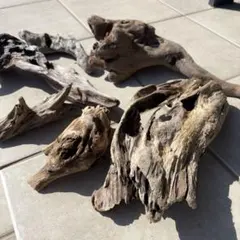 Item thumbnail for item fb574684-4a39-47f8-b6f8-324d9315210c