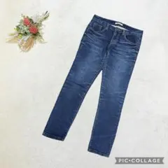 ブランバスク【S】ニットデニム スキニー デニム風パンツ ストレッチ ブルー