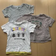 Tシャツ3枚セット　トップス　80 無印　MUJI カブトムシ